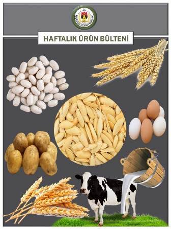 2.HAFTA